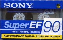 351.jpg